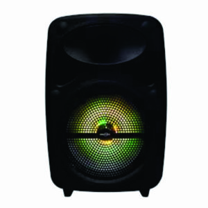 Caixa de Som Bluetooth com Microfone KTS Gts-1950