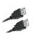Cabo USB Femea / USB Femea 2M Lelong Le-8031